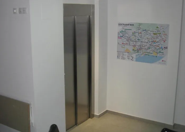 Hostelscat